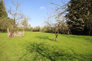 Photo 25- click for photo gallery